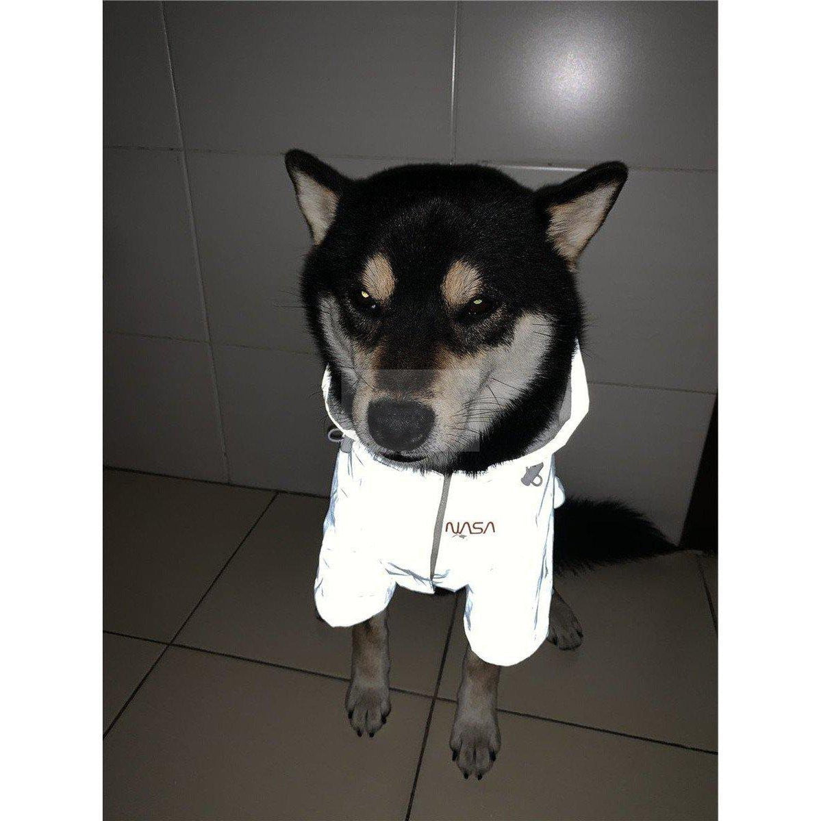 NASA 3M Reflective Windbreaker Hype Pups designer dog clothes.