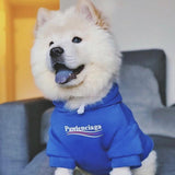 Pawlenciaga Classic Hoodie Hype Pups designer dog clothes.