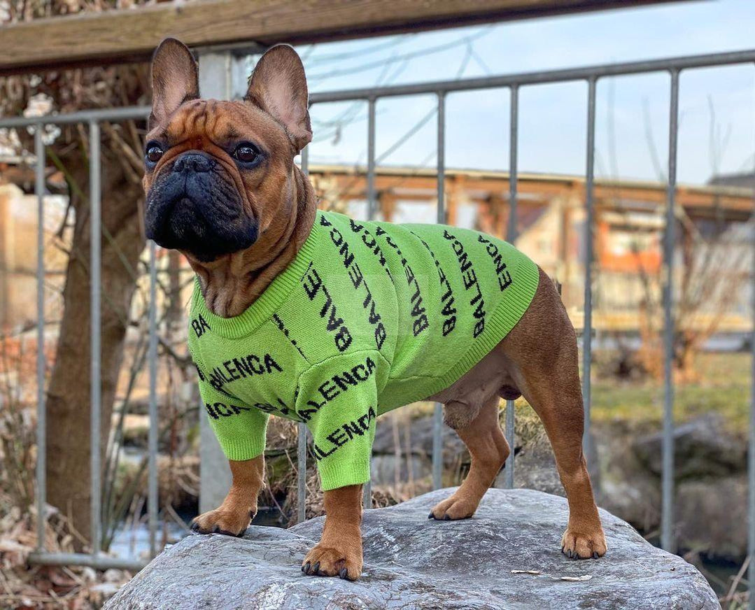 Pawlenciaga Knitted Sweater Hype Pups designer dog clothes.