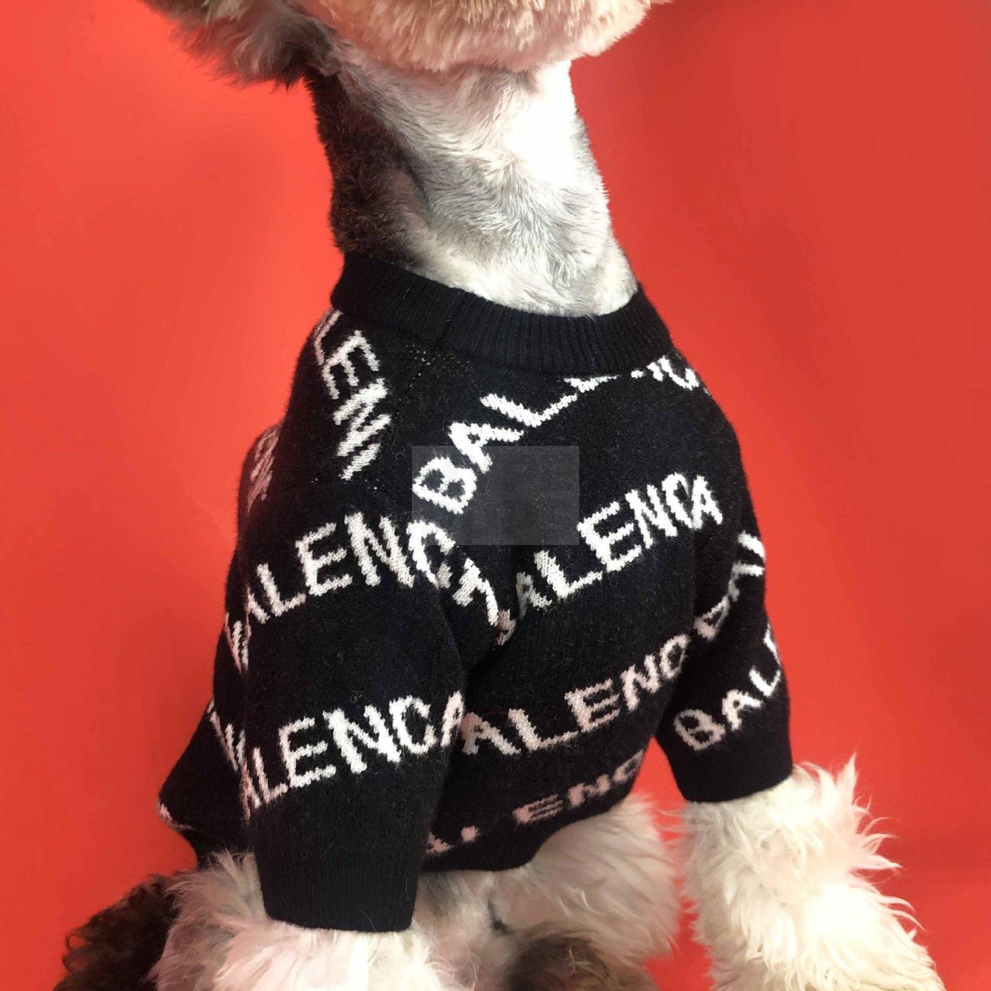 Pawlenciaga Knitted Sweater Hype Pups designer dog clothes.