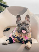 Pawsace Regal Sweatshirt Hype Pups designer dog clothes.