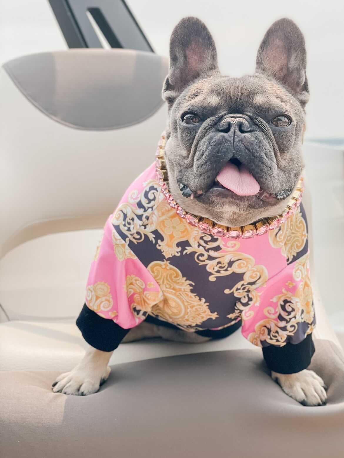 Pawsace Regal Sweatshirt Hype Pups designer dog clothes.