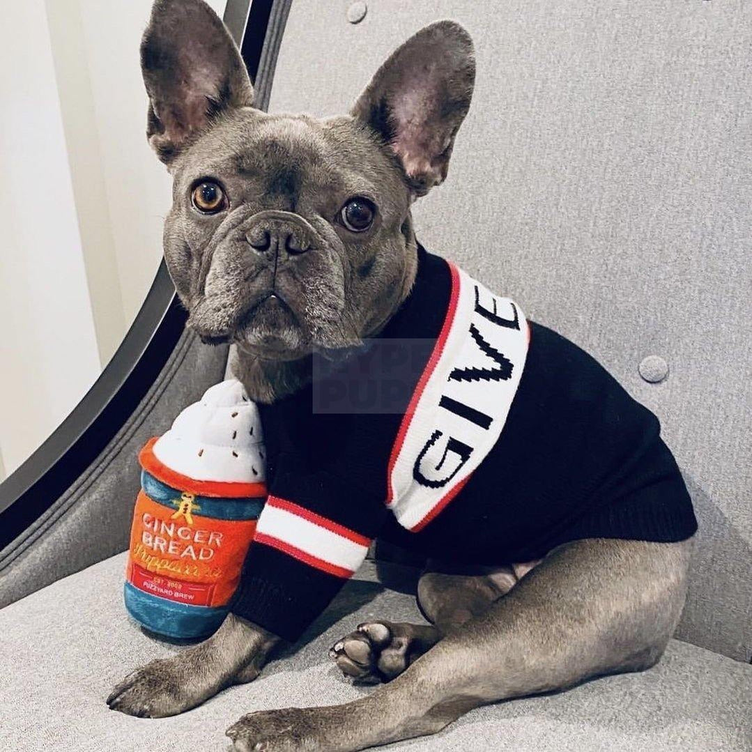 Pawvenchy Box Logo Sweater Hype Pups designer dog clothes.