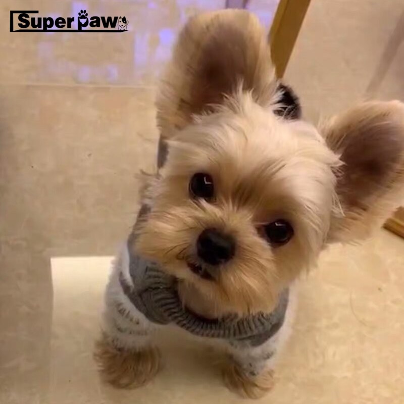 product-image-1280056302