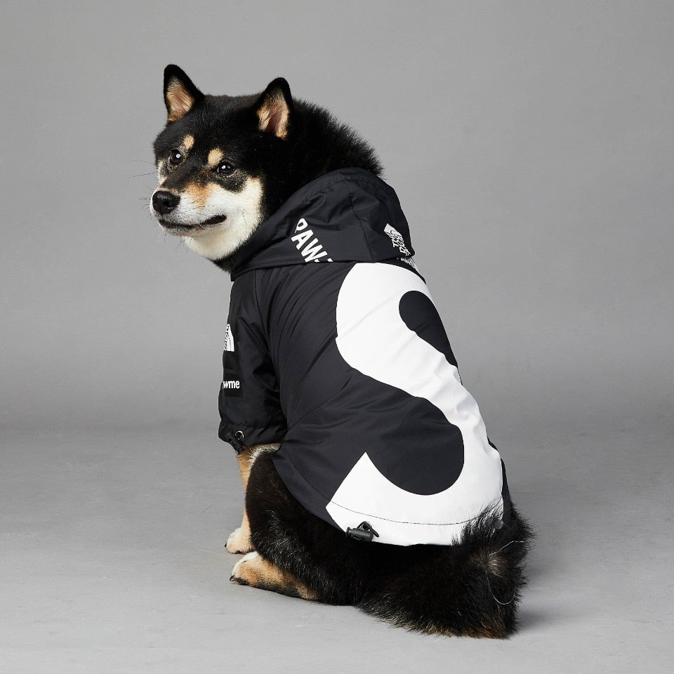 Black dog wearing Pupreme x TDF windbreaker with reflective strips and mountain logo details