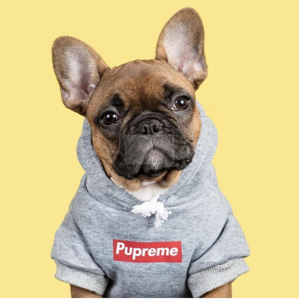 Pupreme Bogo Hoodie Hype Pups designer dog clothes.