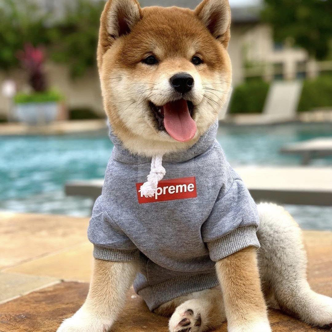Pupreme Bogo Hoodie Hype Pups designer dog clothes.