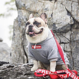 Pupreme Bogo Hoodie Hype Pups designer dog clothes.