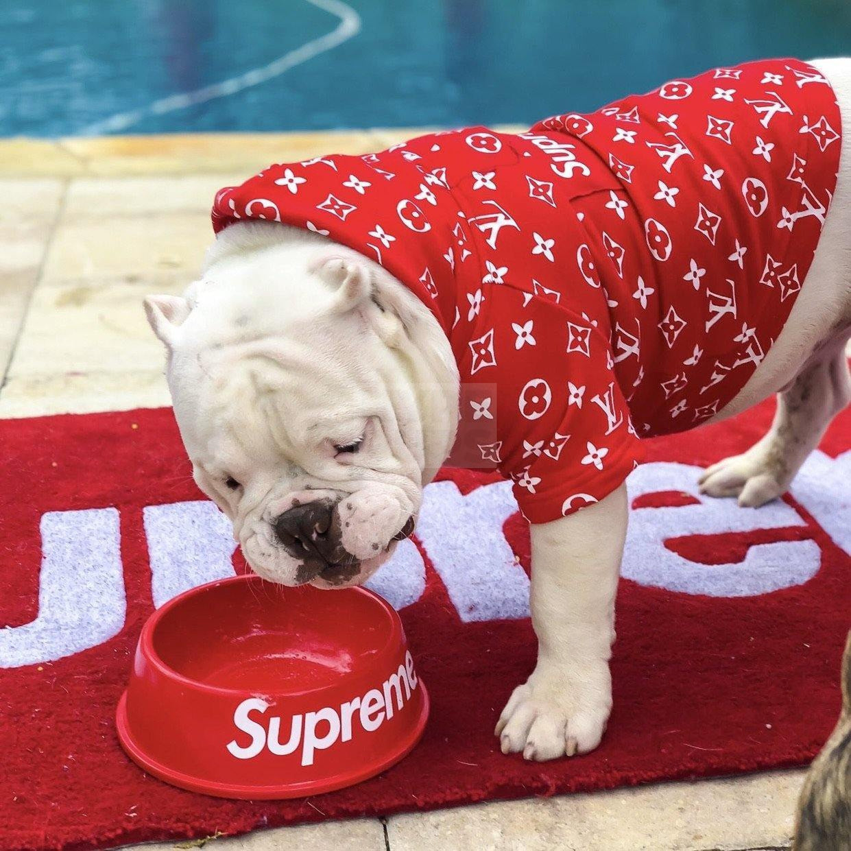 Pupreme Dog Bowl Hype Pups designer dog clothes.