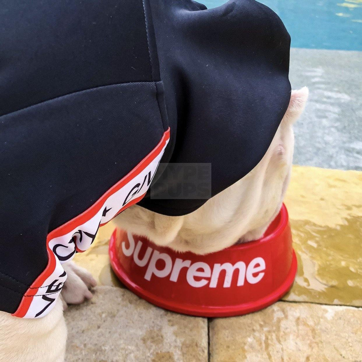 Pupreme Dog Bowl Hype Pups designer dog clothes.