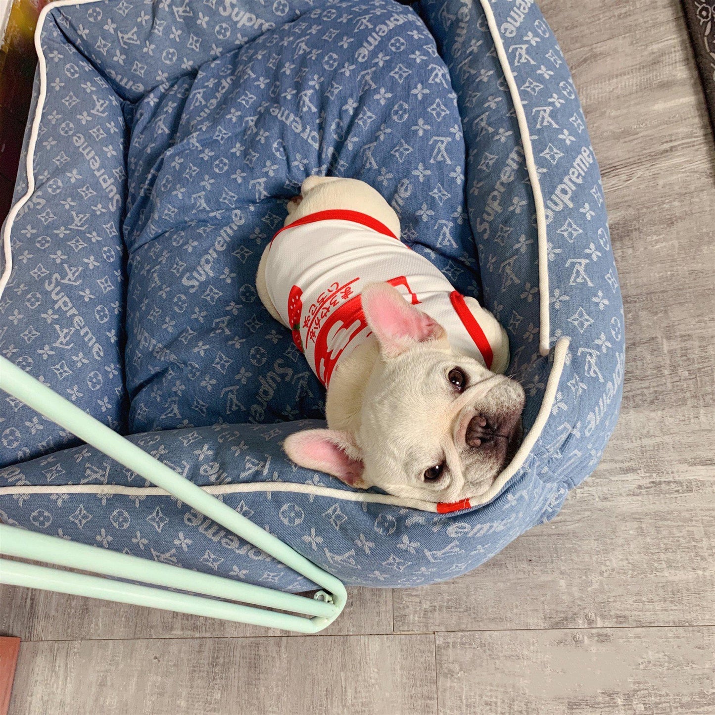 Pupreme x Chewy V Blue Bed Hype Pups designer dog clothes.