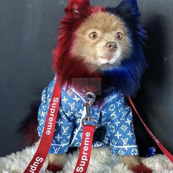 Pupreme x Chewy V Denim Button-Up Hype Pups designer dog clothes.