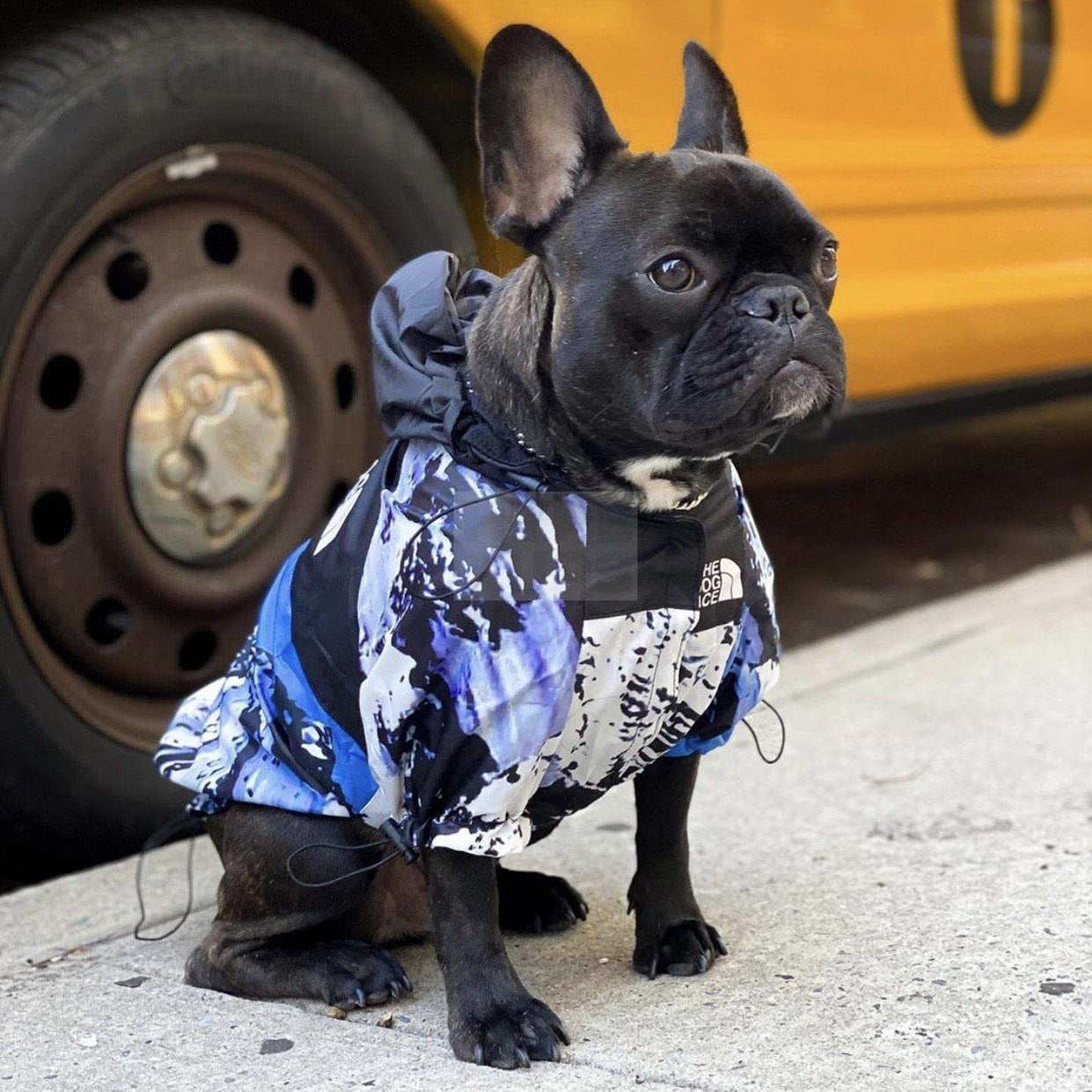 Pupreme x TDF Mountain Windbreaker Hype Pups designer dog clothes.