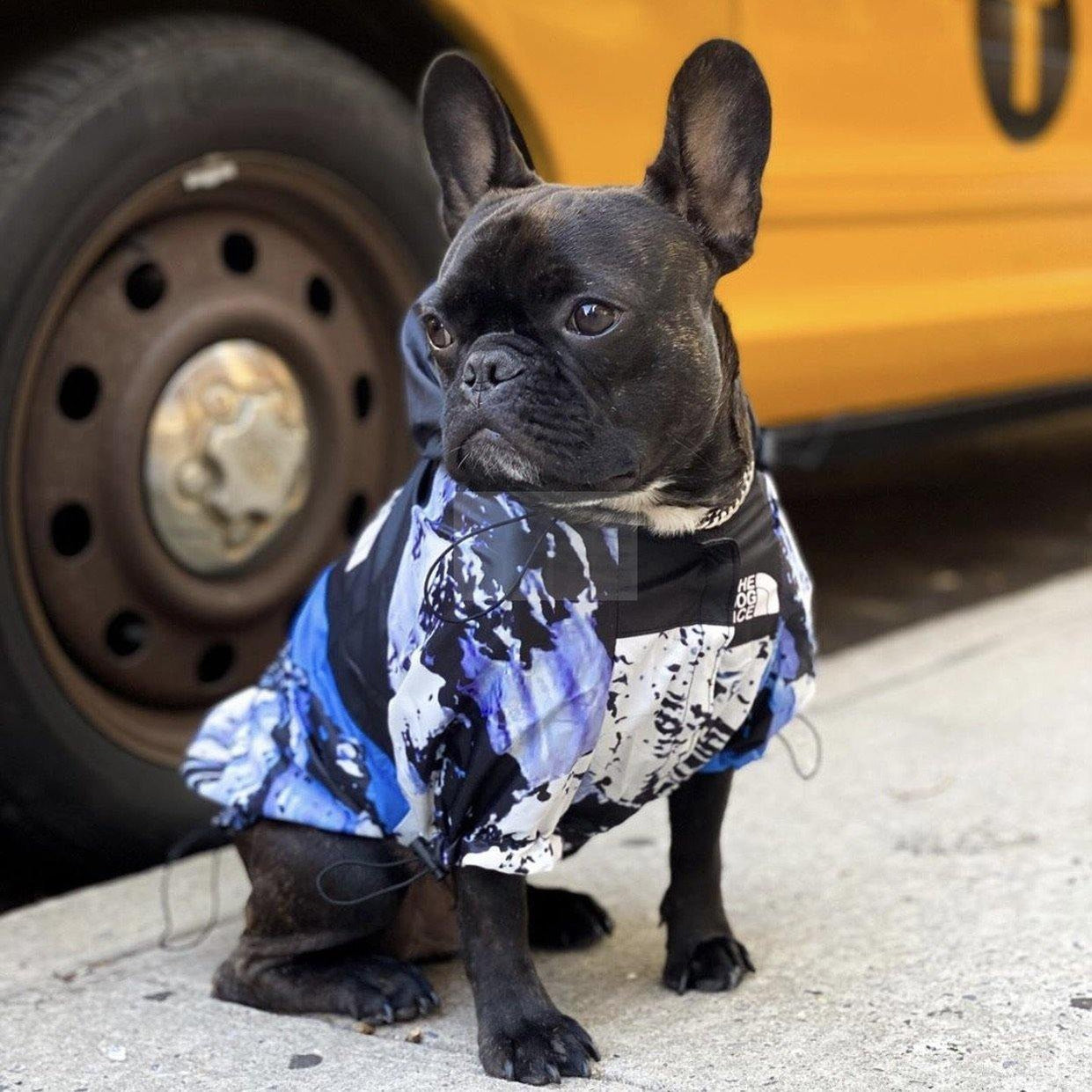 Pupreme x TDF Mountain Windbreaker Hype Pups designer dog clothes.