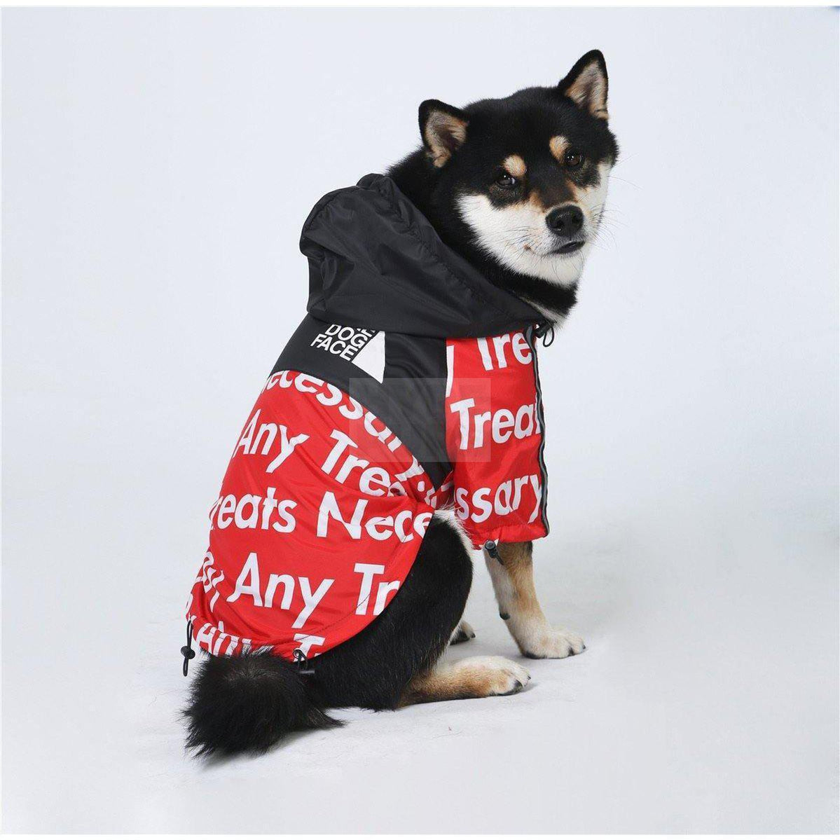 TDF By Any Treats Windbreaker Hype Pups designer dog clothes.