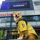 TDF By Any Treats Yellow Windbreaker Hype Pups designer dog clothes.