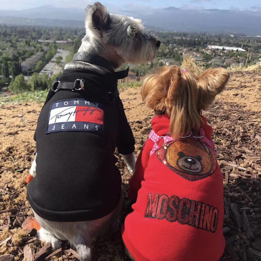 Tommy Dog Sweatshirt Hype Pups designer dog clothes.