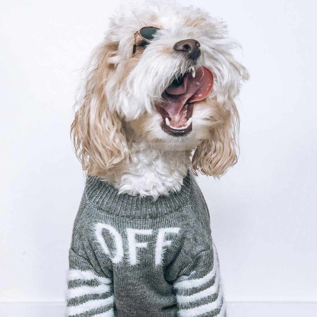 Woof-White Arrows Sweater Hype Pups designer dog clothes.