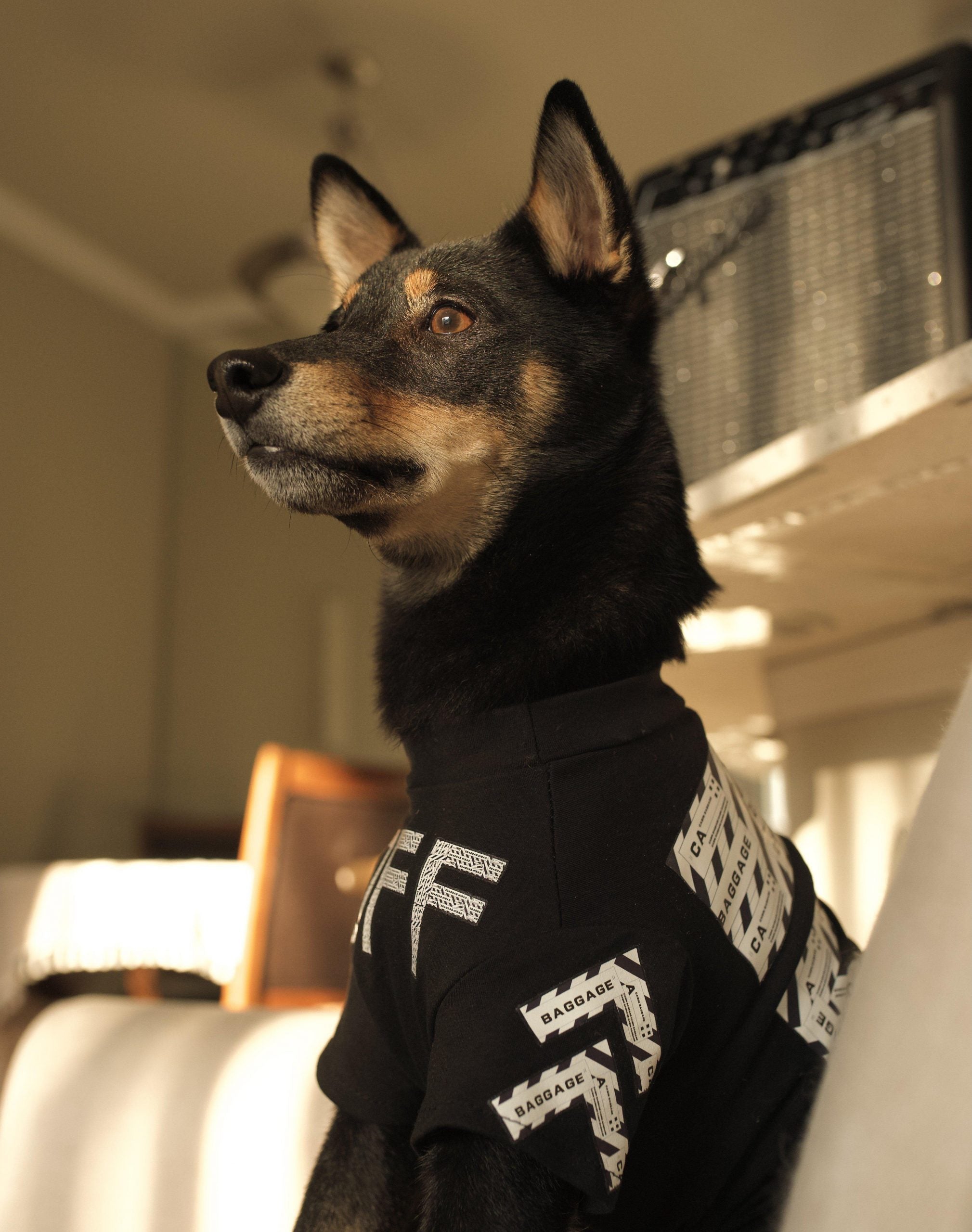 Woof-White Baggage Tee Hype Pups designer dog clothes.