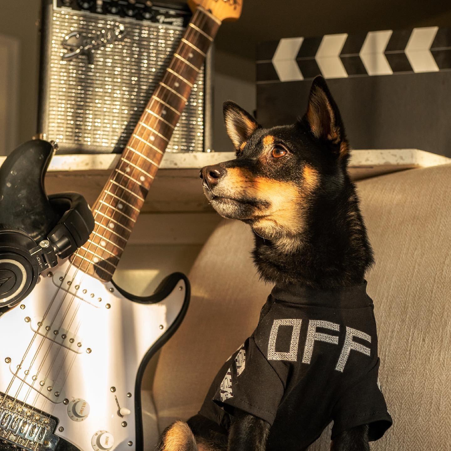 Woof-White Baggage Tee Hype Pups designer dog clothes.