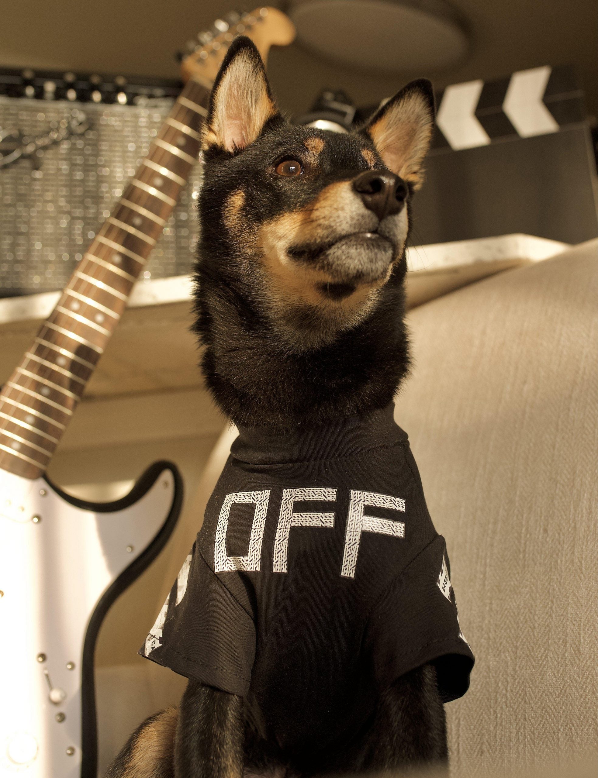 Woof-White Baggage Tee Hype Pups designer dog clothes.