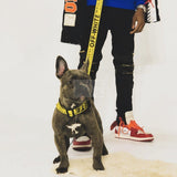 Woof-White Dog Collar & Leash Hype Pups designer dog clothes.