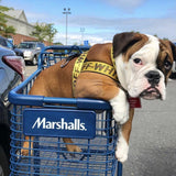 Woof-White Dog Harness & Leash Hype Pups designer dog clothes.