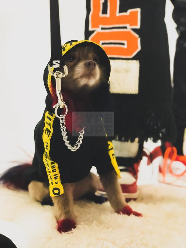 Woof-White Industrial Logo Hoodie Hype Pups designer dog clothes.